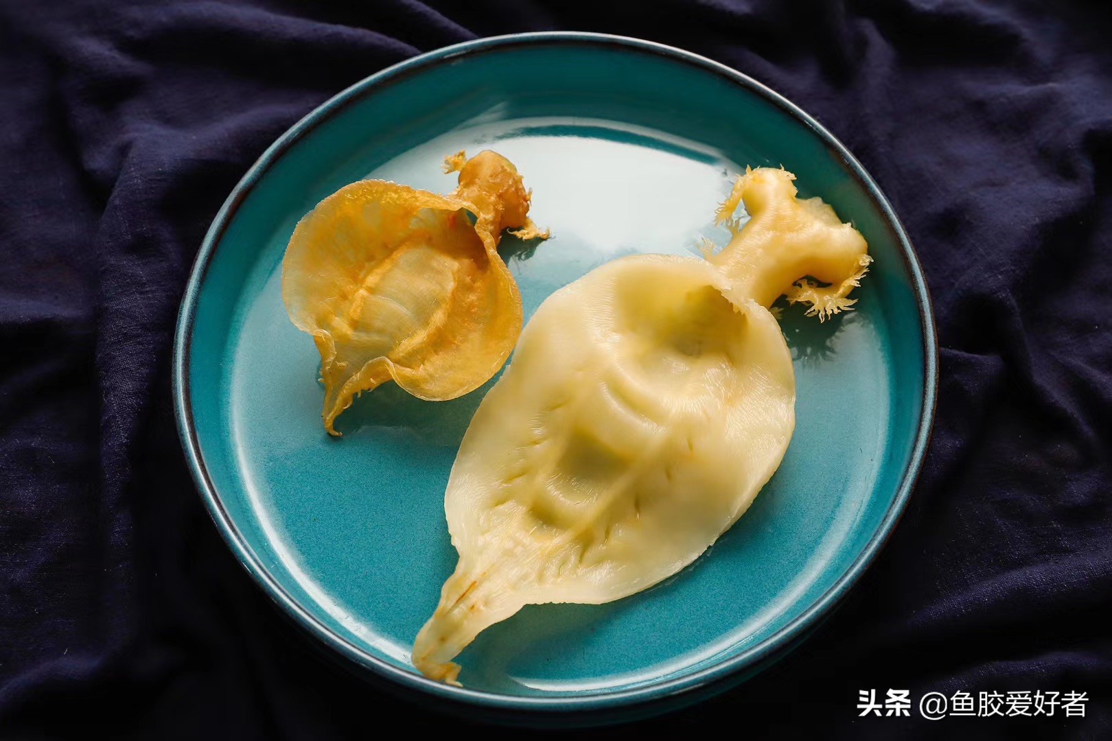 加拿大开片鱼胶的正确泡发方法,鱼胶在泡发过程中营养会流失吗