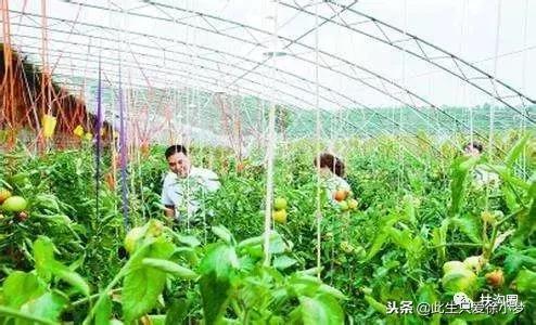 我的家乡，欢迎您来到扶沟！