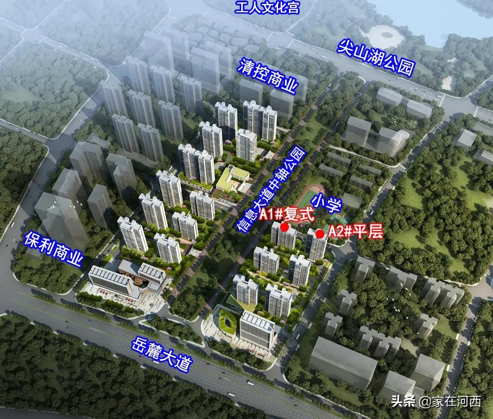 真香！尖山湖中轴国企大盘亮相，有复式，卖毛坯！目测要摇号？