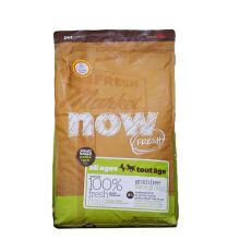 小型犬幼犬到家后的正确流程,新犬到家第一天老叫