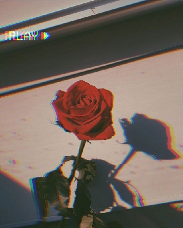 形容仙气十足不沾世俗的优美句子,仙女下凡仙气的句子