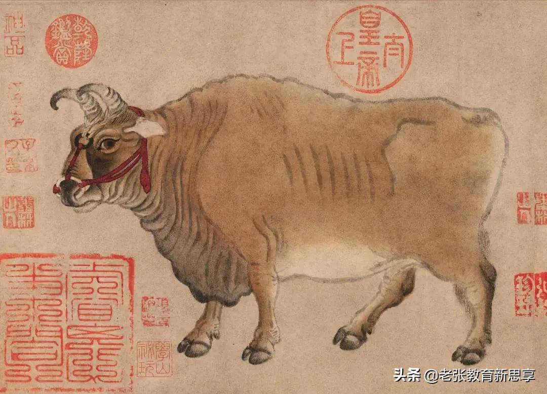 涨知识是什么原因,你知道牛为什么叫做牛吗