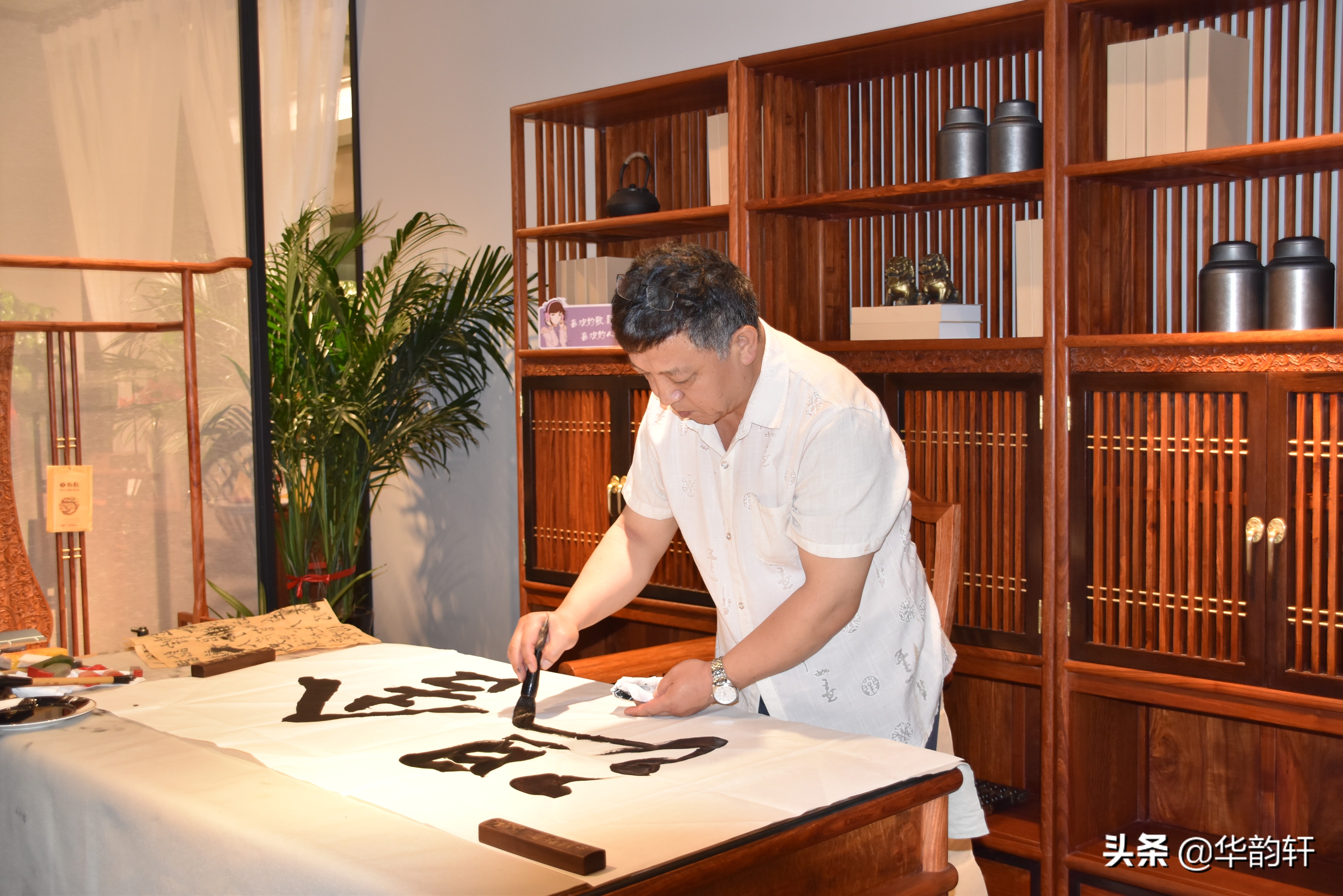 书画家周同强,书法家周同强