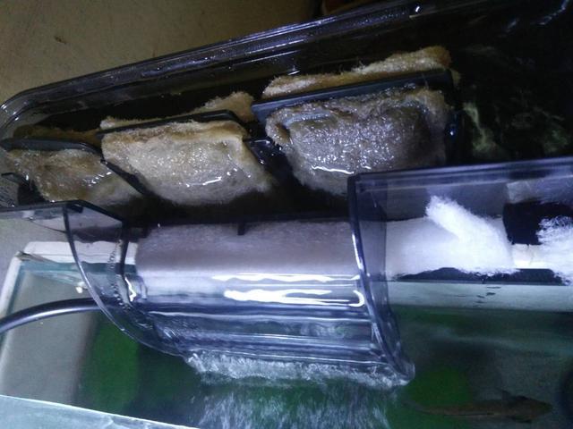 鱼缸的水面上有泡泡怎么解决,鱼缸的水面上好多小气泡