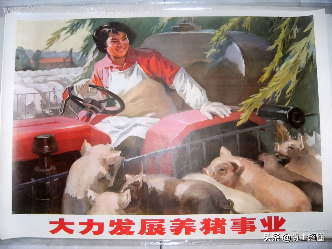 美国控制了中国养猪业吗,中国生猪被美国垄断吗