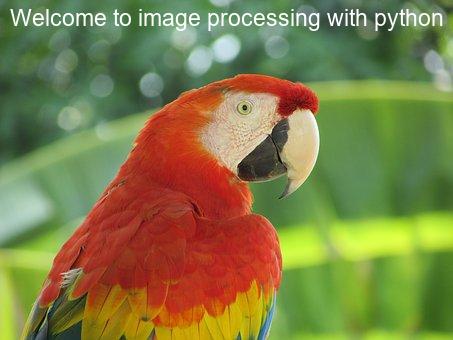 常见的图像处理方法有几种,简单的图像处理知识