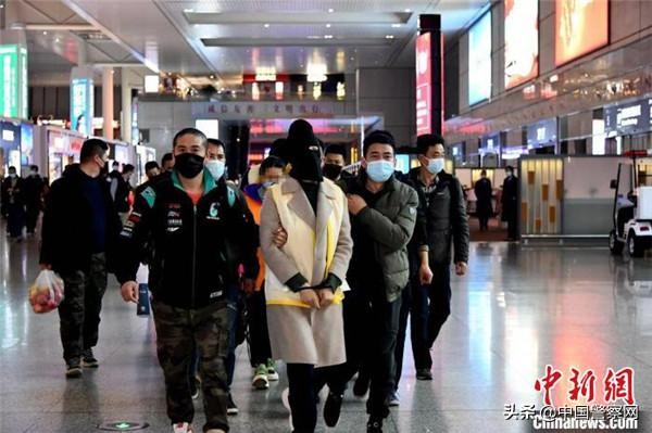 7亿奶茶加盟诈骗案例全过程,奶茶加盟诈骗案怎么解决了