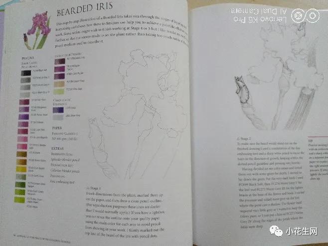 从零开始学绘画简单入门教程,从零开始学绘画必备的画