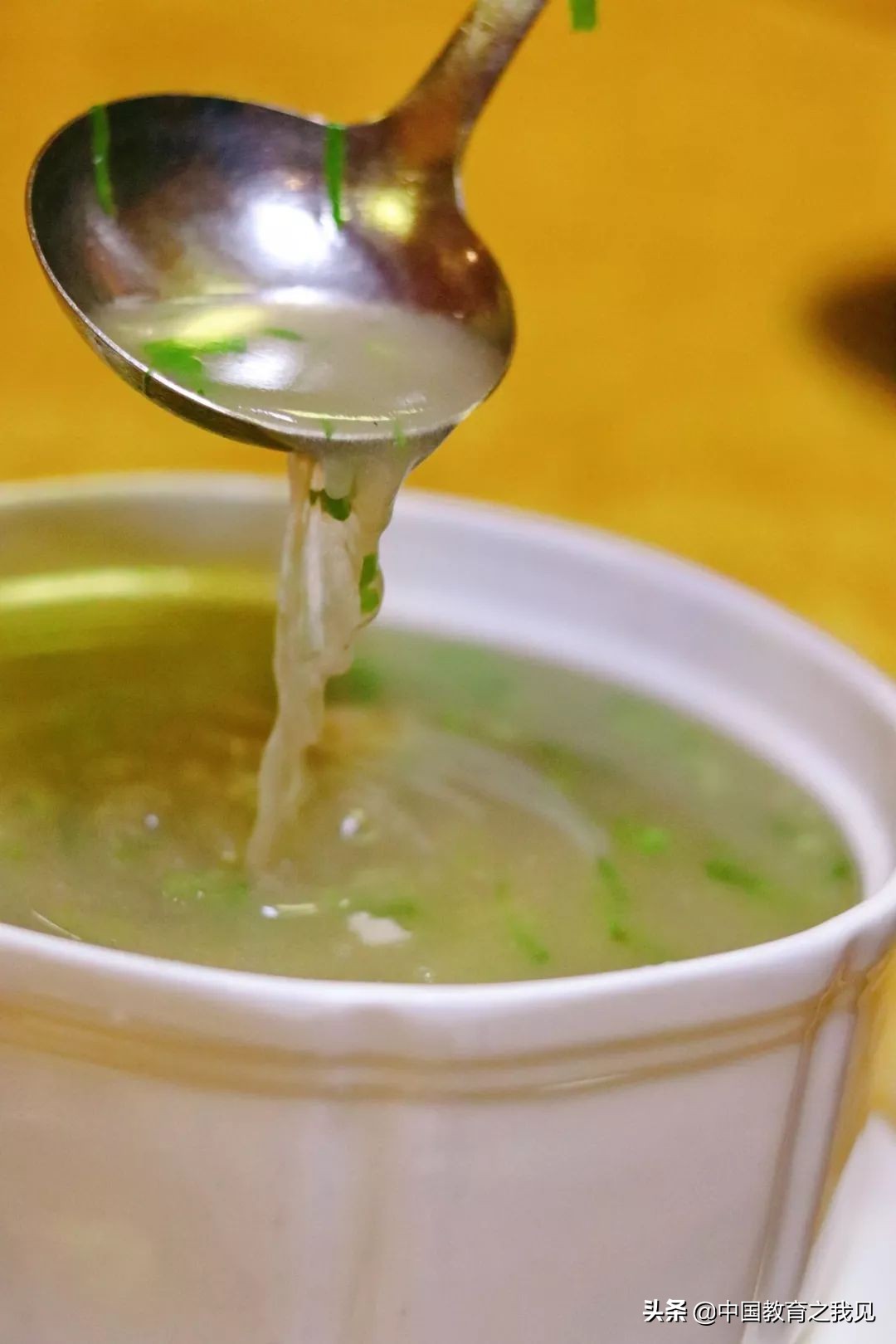 叶南渔村葡萄园,叶南渔村