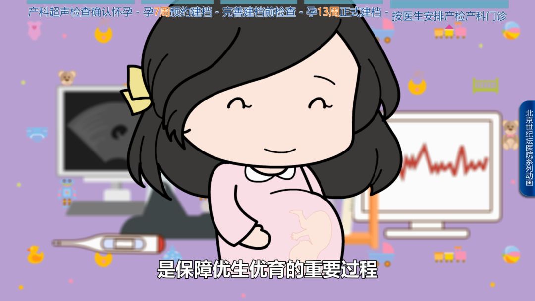 科普怀孕过程纪录片,科普动画怀孕