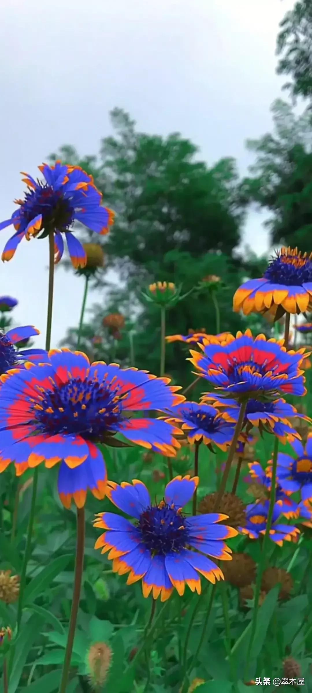 正义终将战胜邪恶对不对,正义终将战胜邪恶原唱