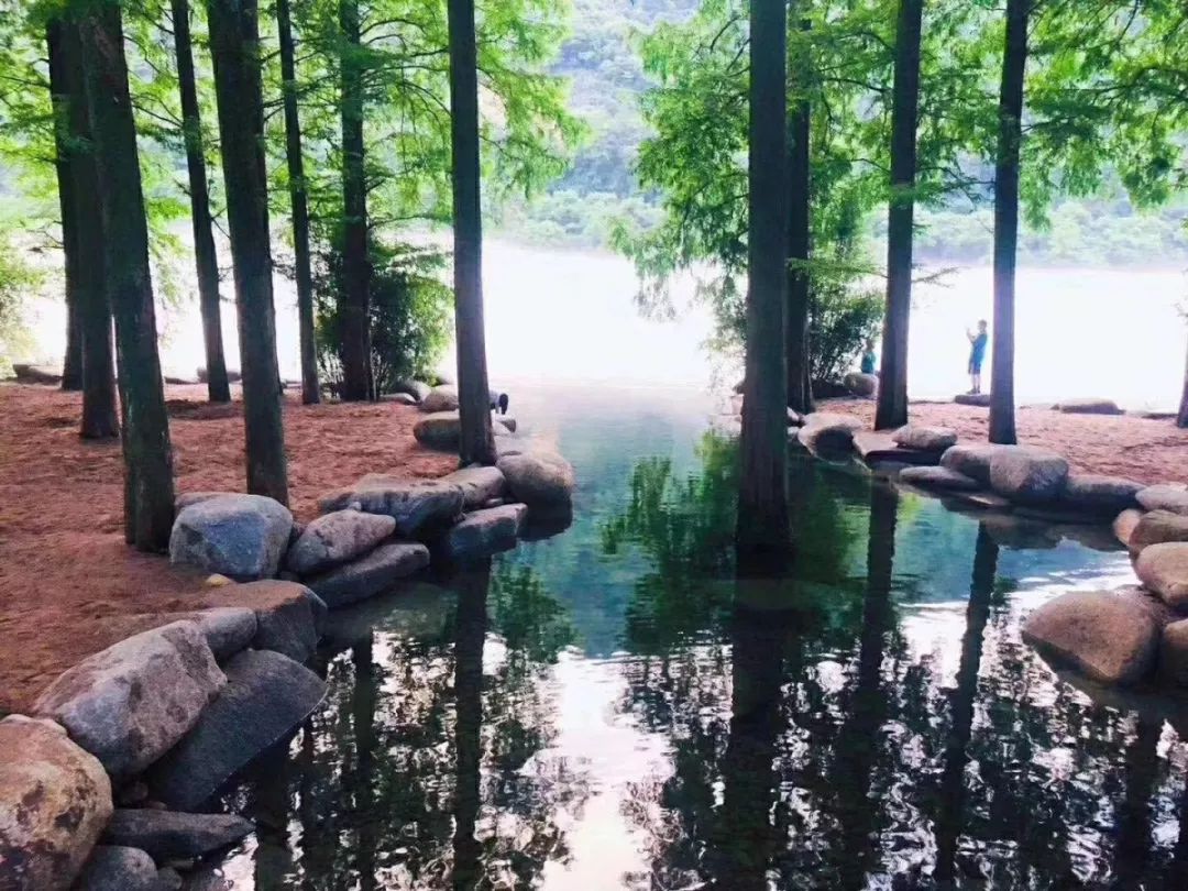 杭州适合网红拍照的地方,杭州真美高清图