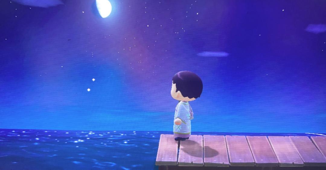 开服15天,我玩《动物森友会》总结的39条教训