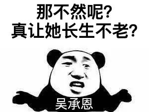 熟读四大名著会怎样,你总结过四大名著的特点吗