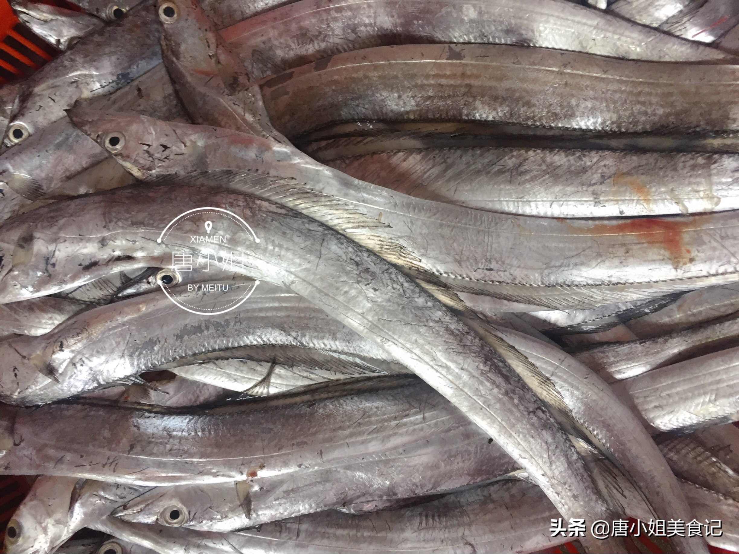 休渔期后有什么鱼,休渔期的鱼多少钱一斤