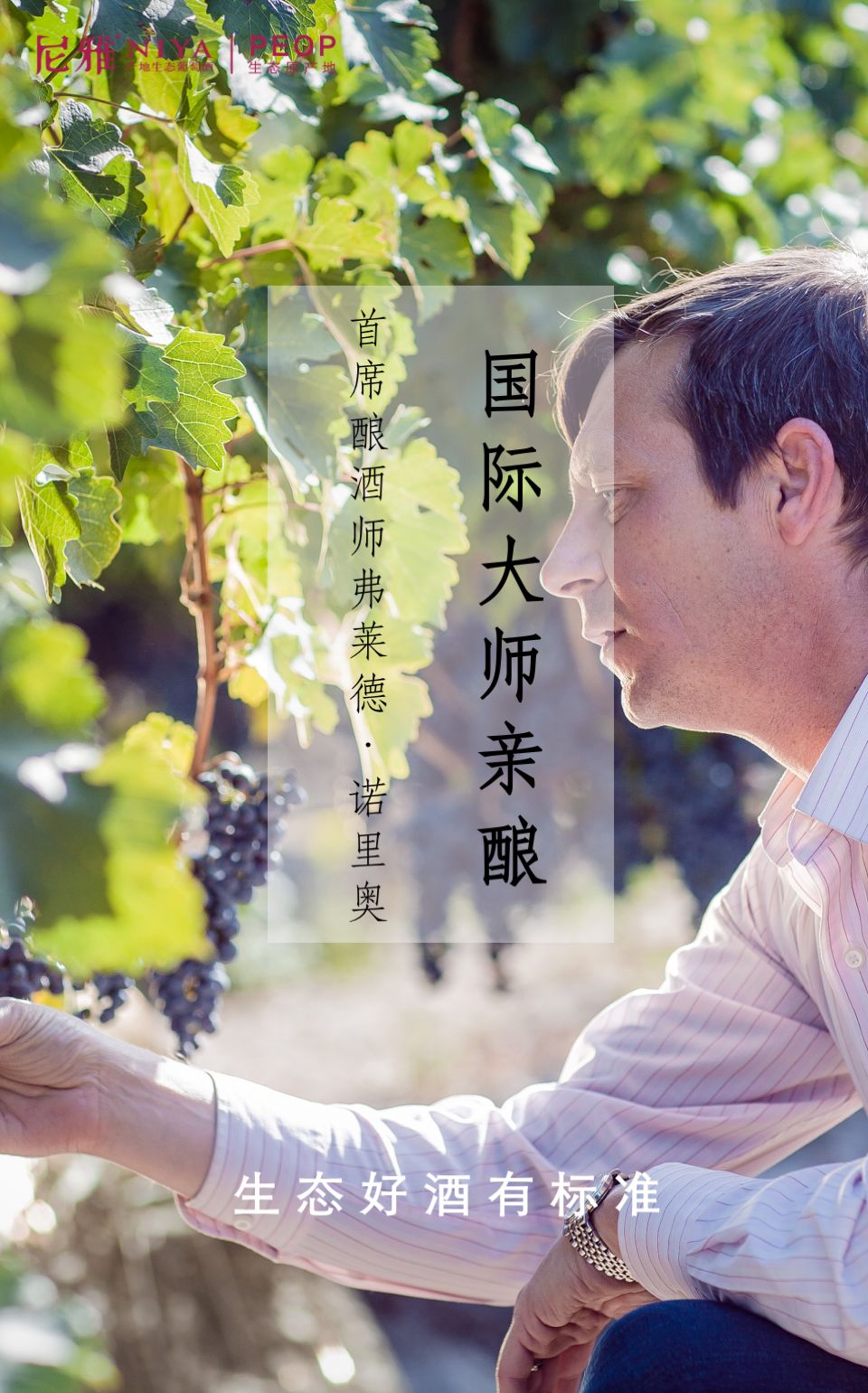 五星东方雅尼酒,尼雅好酒