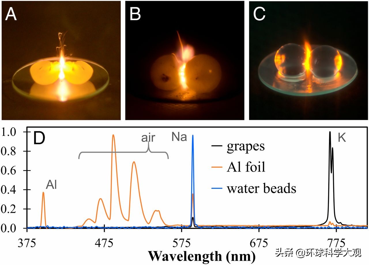 微波炉加热葡萄爆炸,葡萄进微波炉加热会爆炸是真的吗