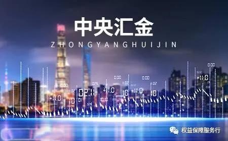 最新中央汇金,深度解析中央汇金