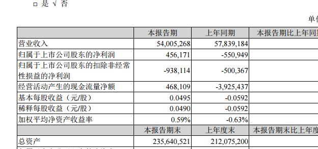 张近东质押10亿股票,张近东斥巨资抄底苏宁