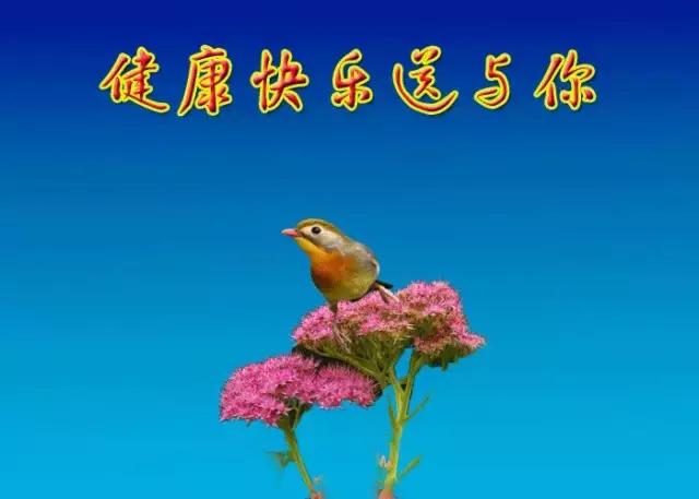 早上好！12月6发财日，祝你天天赚金砖，日进斗金，钱数不完