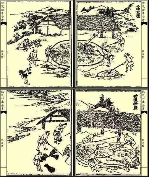 上海南汇：“金大团，银新场，铜周浦，铁惠南”这句话还灵吗？