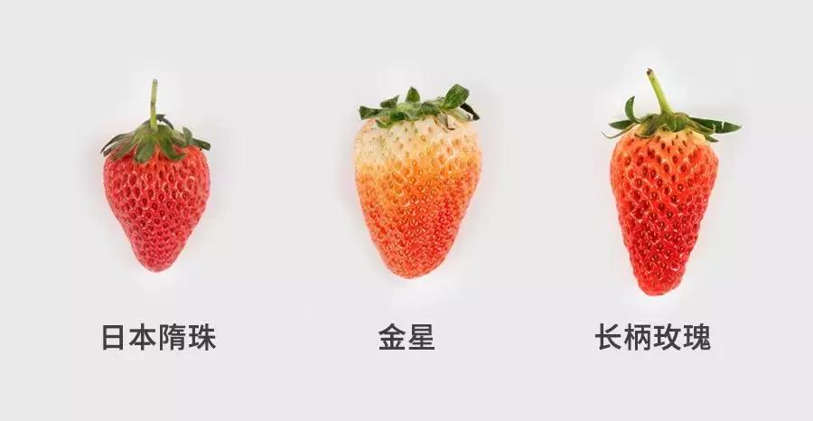 一下子吃了30颗草莓,吃了半斤草莓