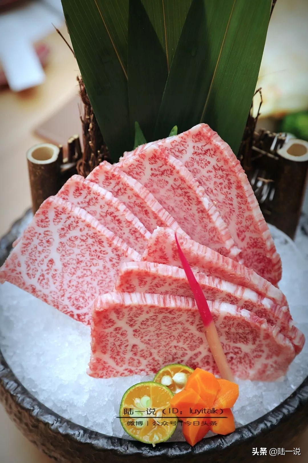 情人节吃饭推荐餐厅厦门,厦门最推荐的日料高端店