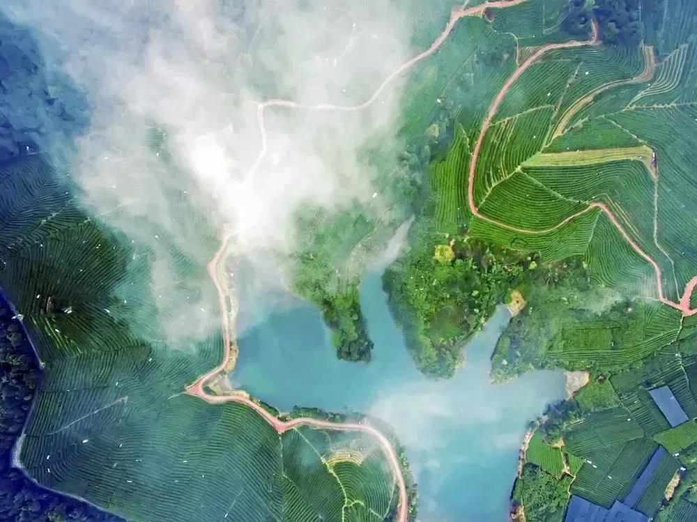 西湖区委书记高国飞：亚运来黄龙观赛，推荐游两景区