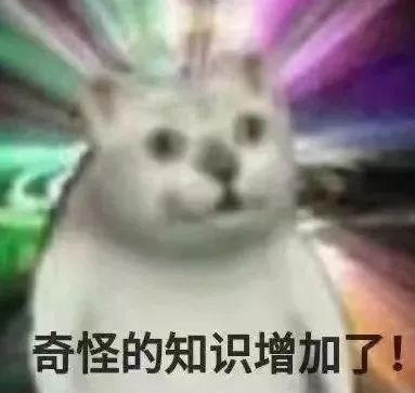 那些很奇葩的歌,盘点这些年奇葩的歌名