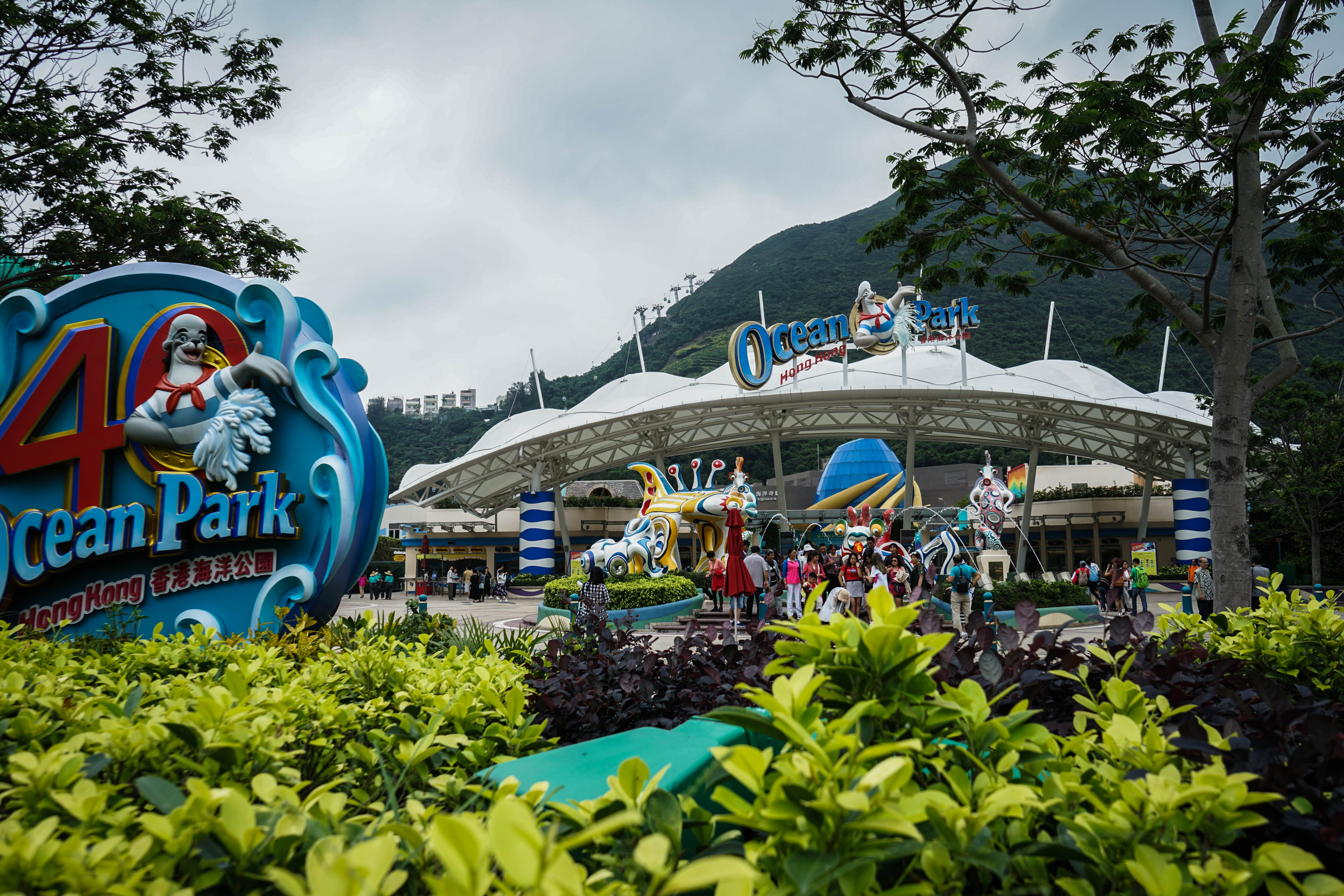 塞班岛蜜月自由行攻略,塞班蜜月旅行攻略