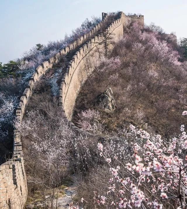 京郊四月美景,京郊四月