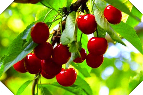 普通人怎样实现财务自由,普通人如何实现财务自由视频