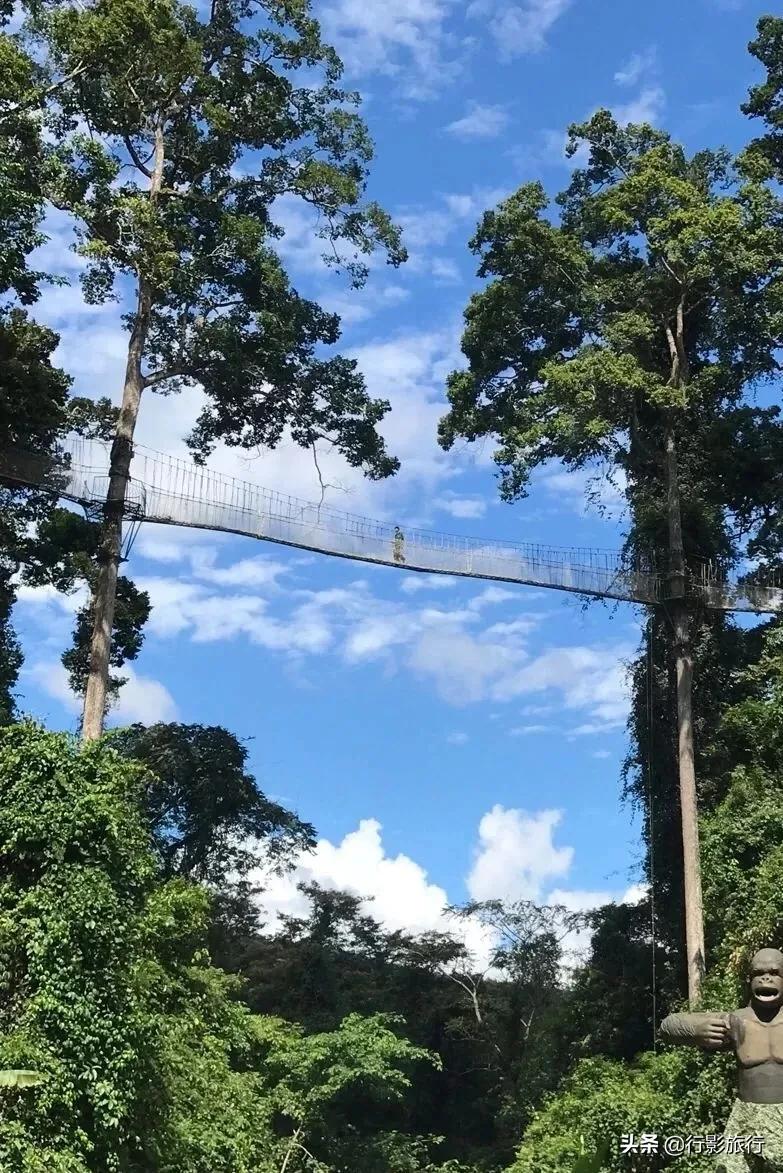 云南的西双版纳州怎么样,云南西双版纳景区怎么样