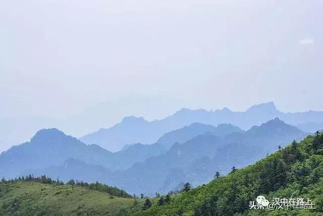 探秘汉中,汉中一村子窜入野生羚牛