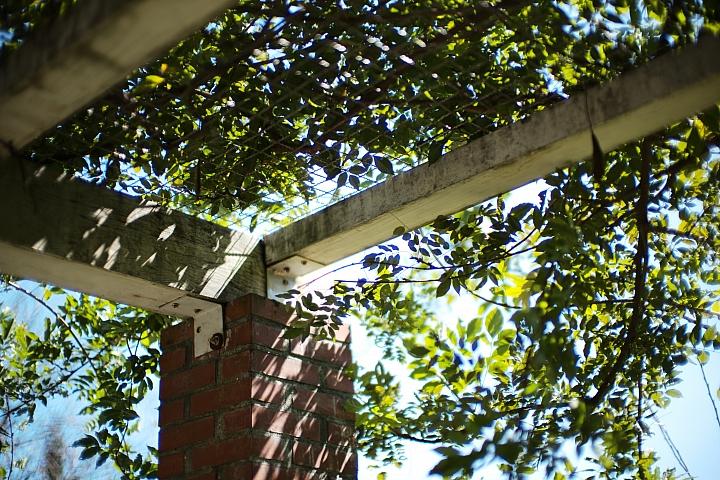 反璞归真2.0,反璞归真005