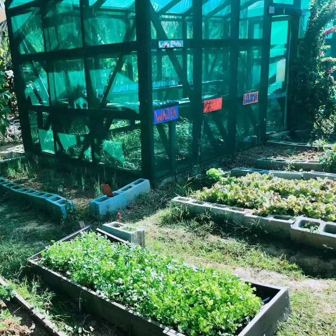 什么是公益游学？参与者到底能收获什么？