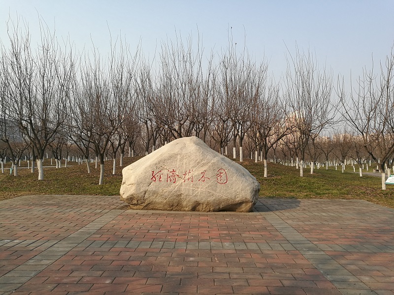 实力强劲的西北农林科技大学，为何在985院校中并不显眼？