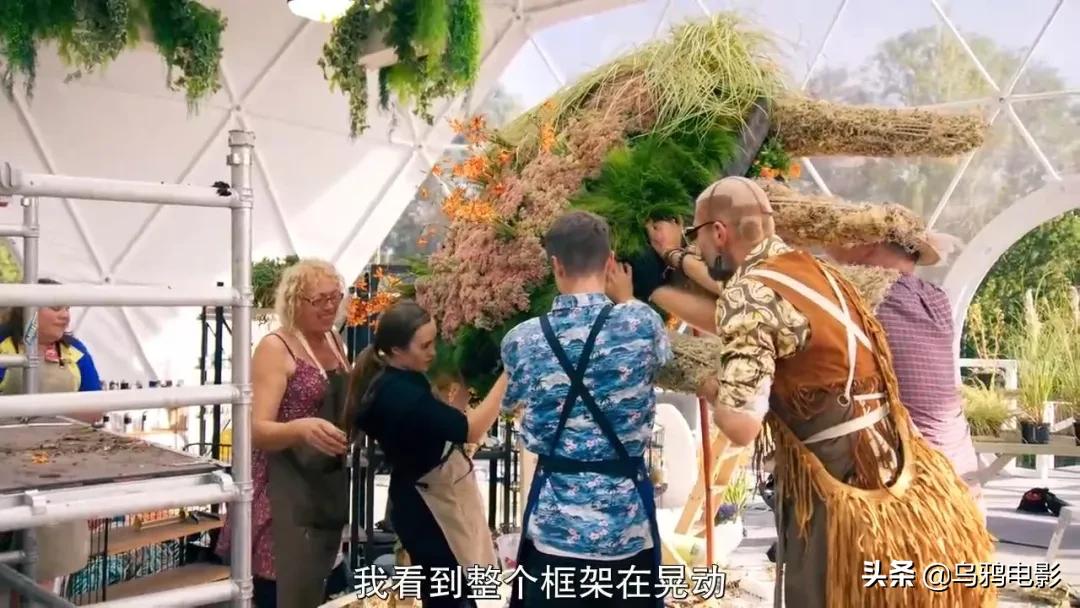 这也能拍出花?网飞又开挂了,每集都让我惊掉下巴