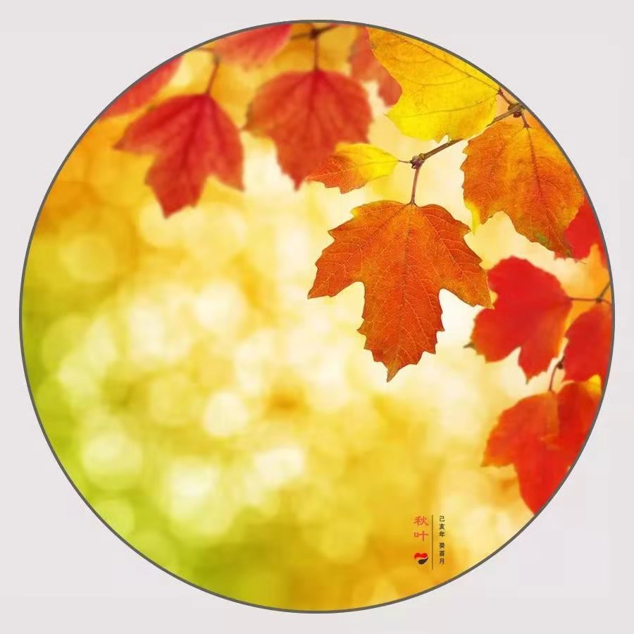 秋叶800m,秋叶800m最新视频