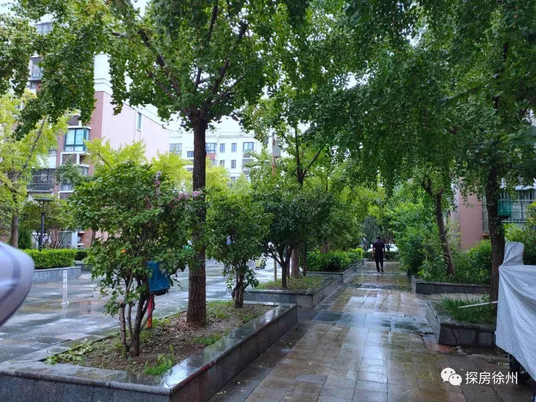 这个小区有点酷！门面全靠保安大爷撑起来，实探后竟发现...