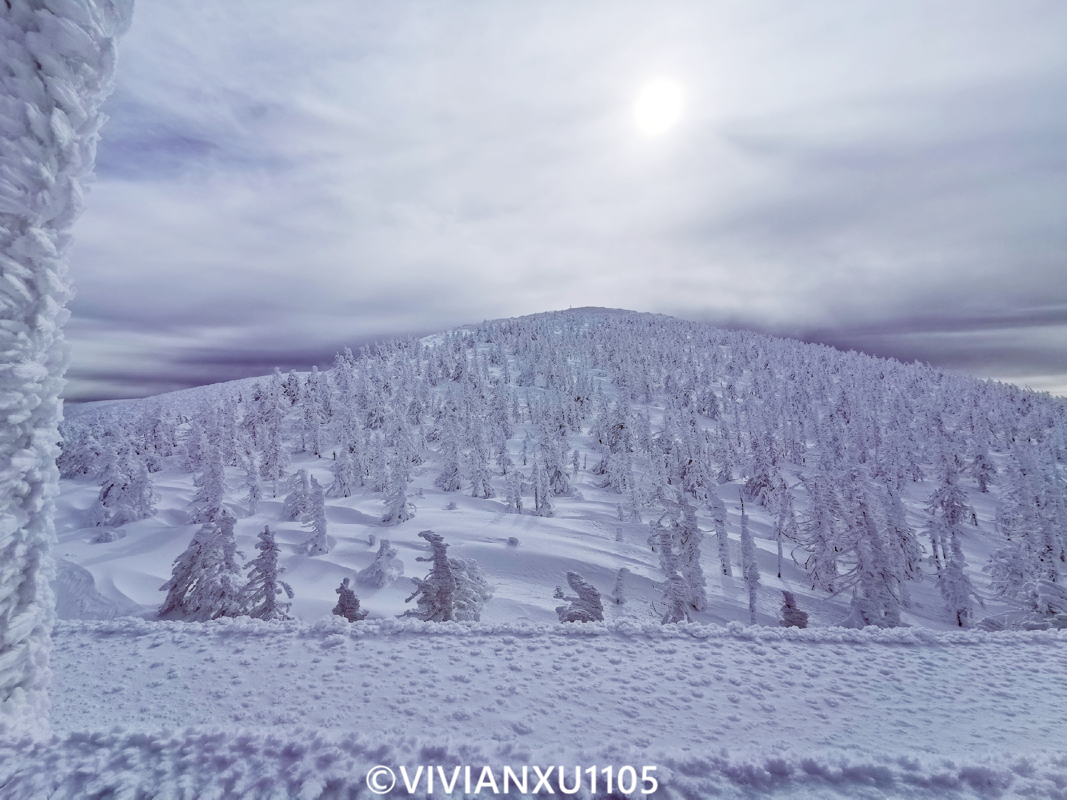 塑料母女日本东北深度游（秋田山形）