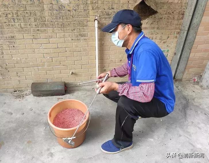 家里老鼠多有什么吓老鼠的神器,防止家里老鼠进屋
