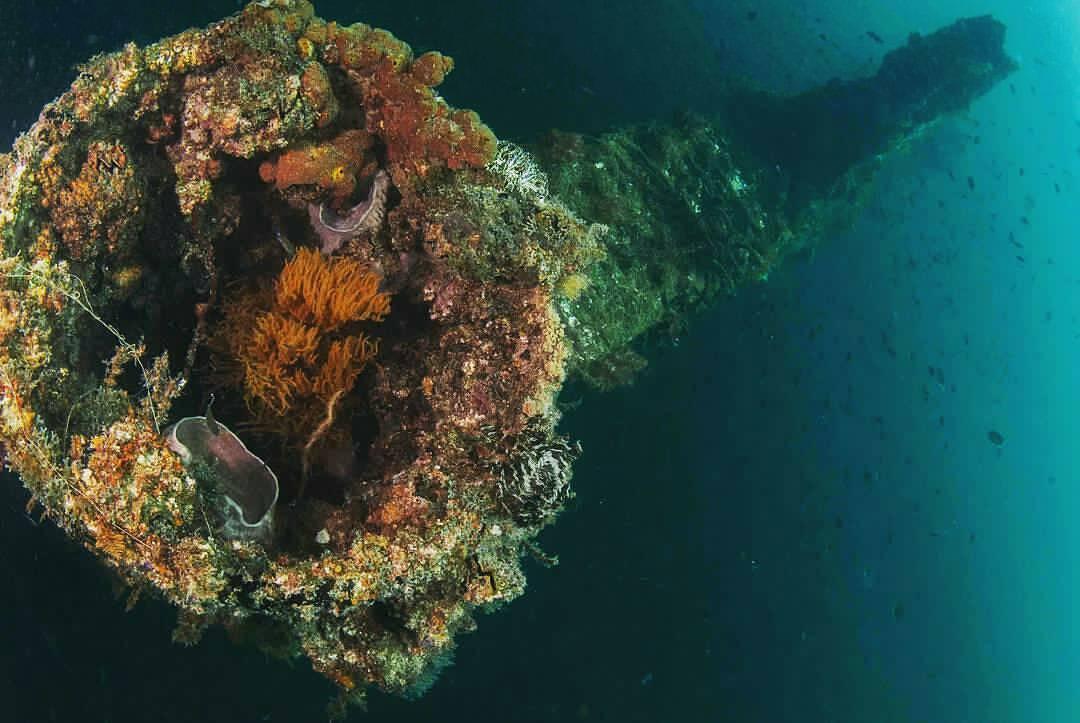 免签海岛游,推荐国外好玩免签的海岛