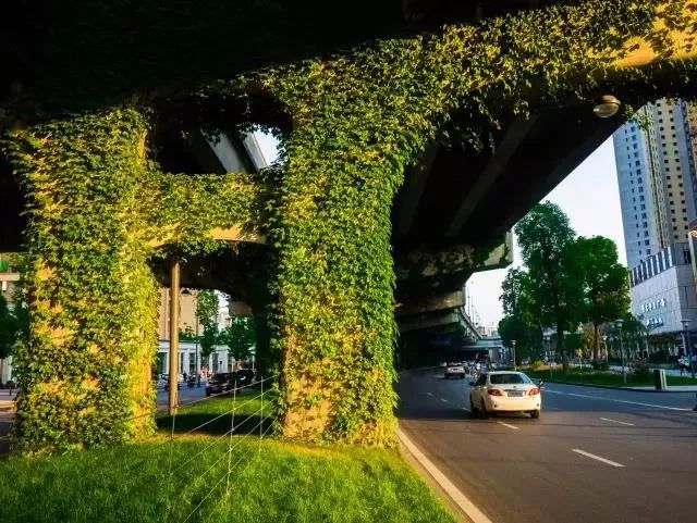 成都二环绿化,成都二环绿植视频