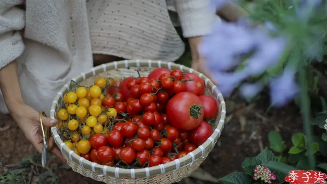 看了李子柒的视频的感受,看完李子柒后的感受