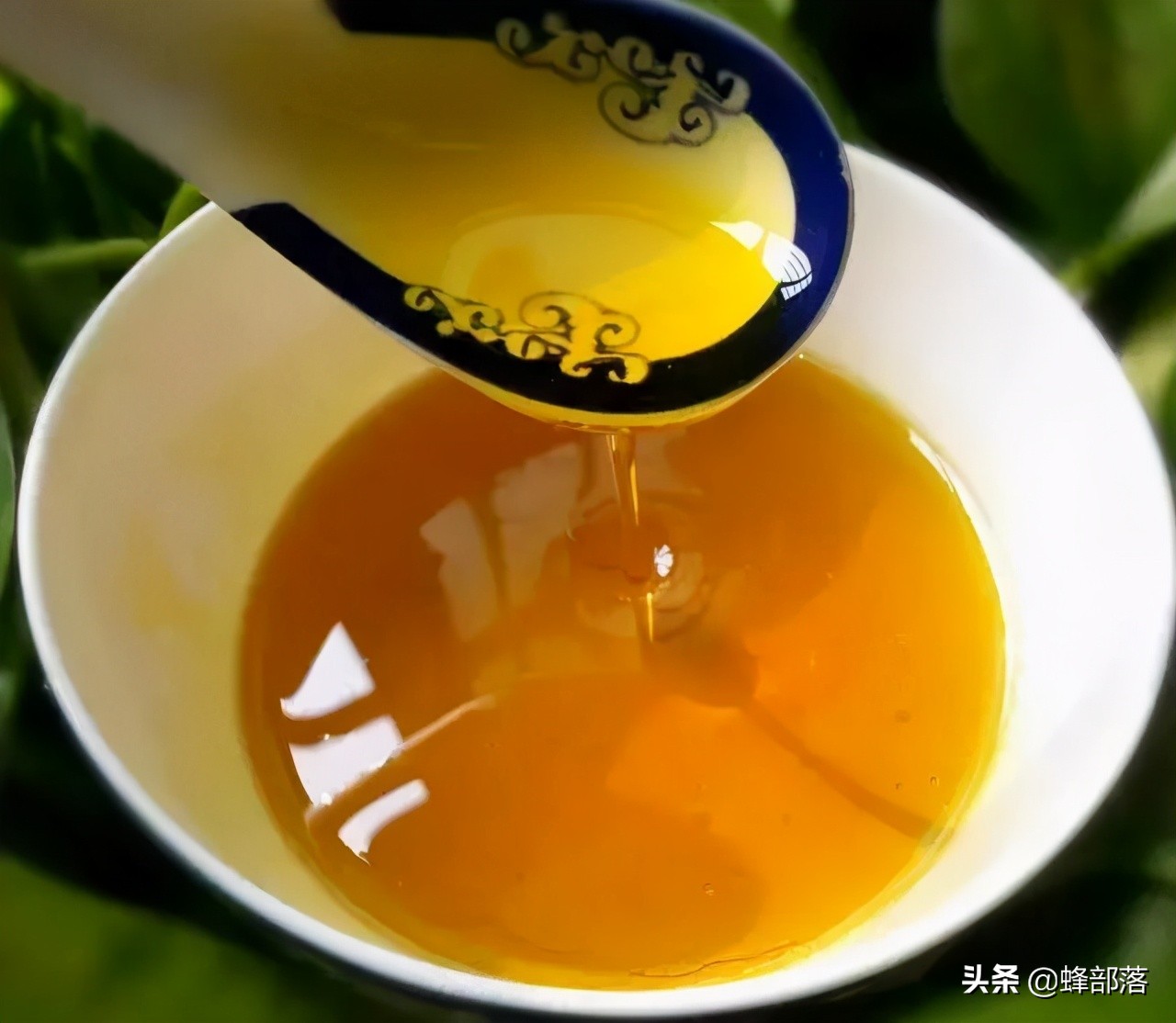 菜油怎么识别是好菜油,菜油好不好