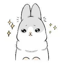 六种肾脏病最好治疗方法,肾脏病诊治之法