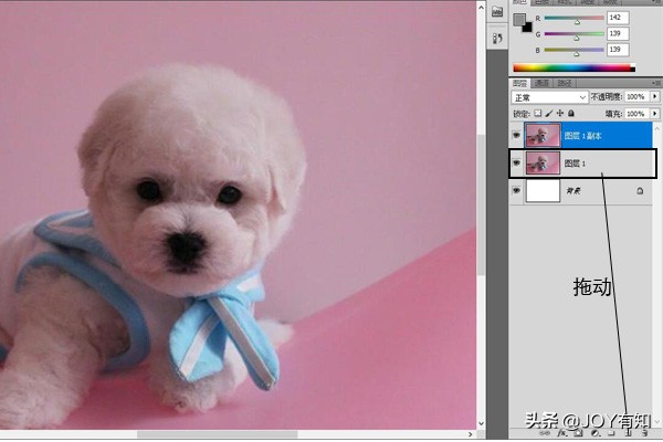 ps基础教程新手入门怎样复制图层,ps里面如何拷贝一个新图层