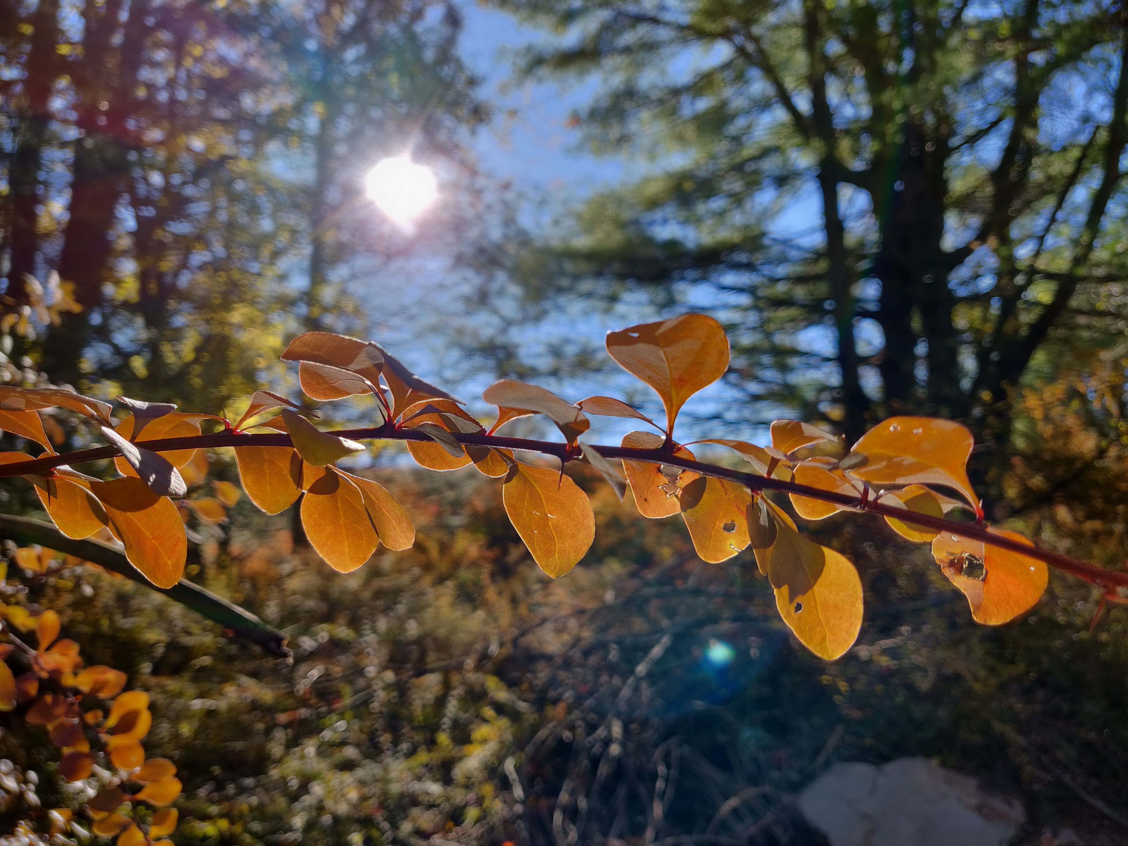 一加6t使用深度测评,一加6t屏幕指纹评测