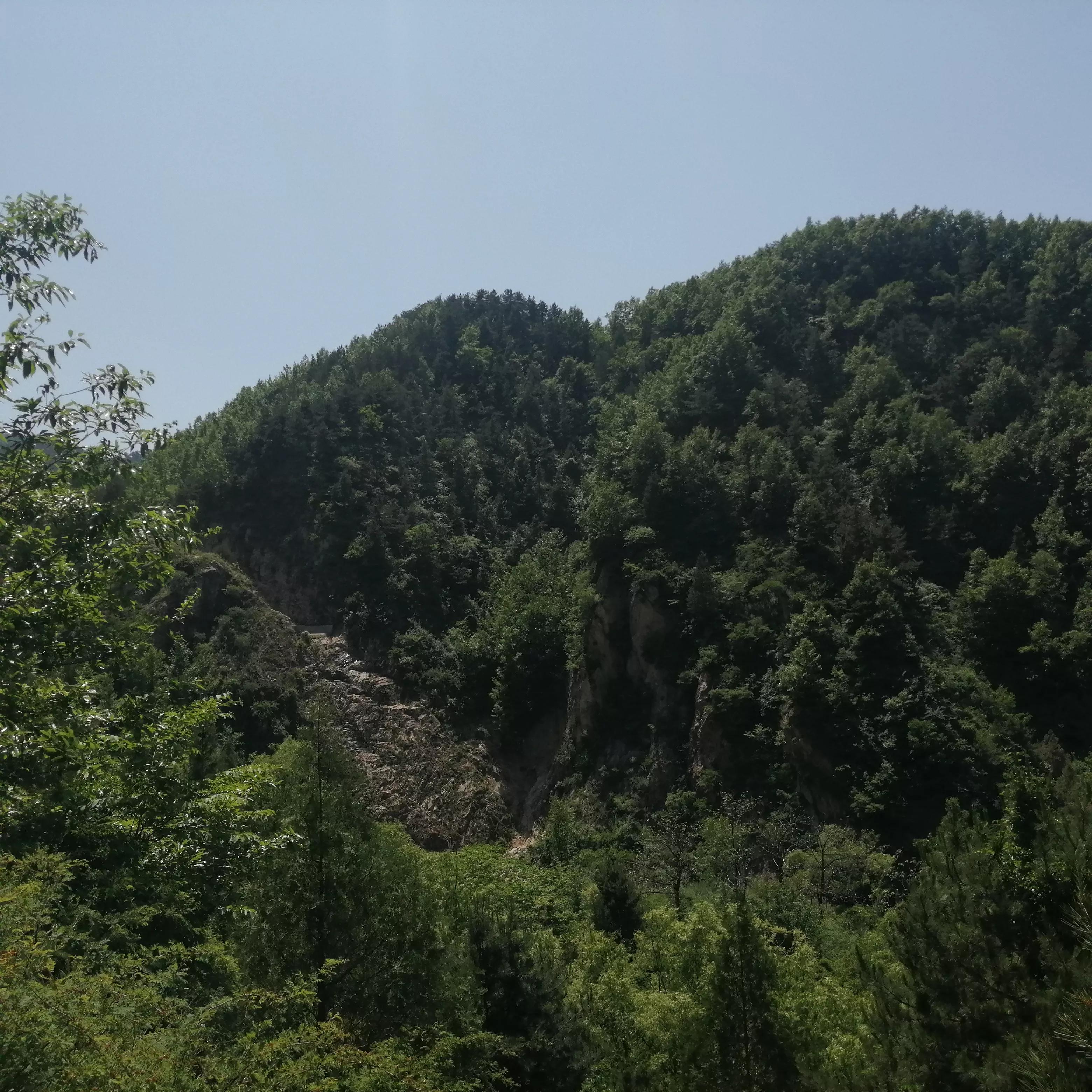 打卡莲花山森林公园,爬莲花山森林公园几个小时